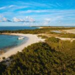 Untitled-design-33-768x538